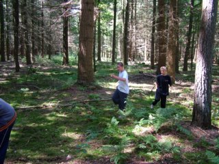 dscf0533.jpg